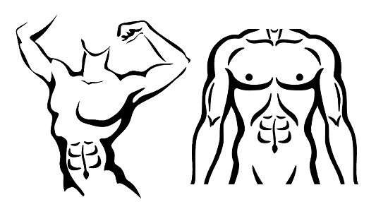 Men body shape diagram